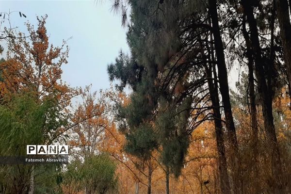 طبیعت پاییزی تهران