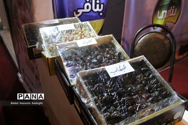 سومین نمایشگاه بین المللی تخصصی خرما در بوشهر