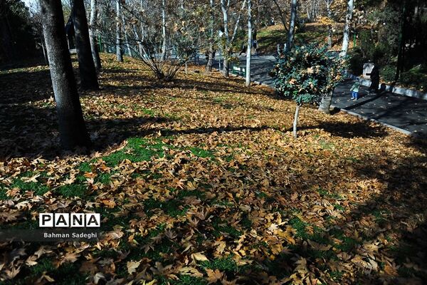 طبیعت پاییزی بوستان ملت
