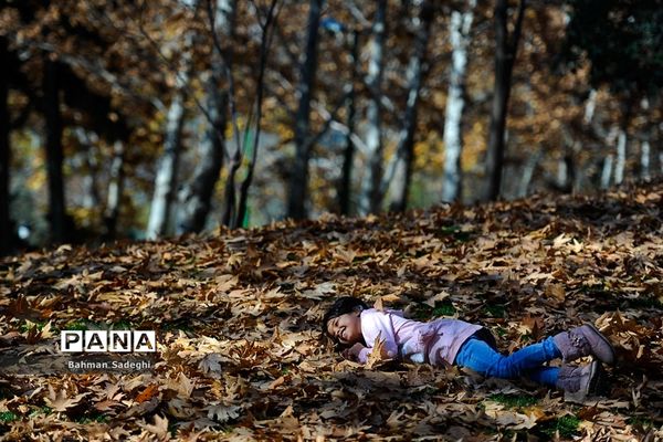 طبیعت پاییزی بوستان ملت