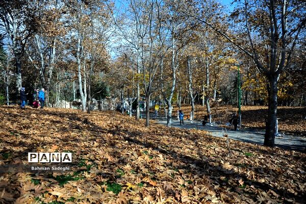 طبیعت پاییزی بوستان ملت
