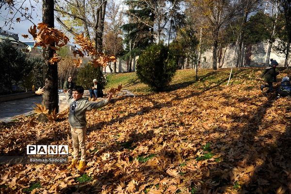 طبیعت پاییزی بوستان ملت