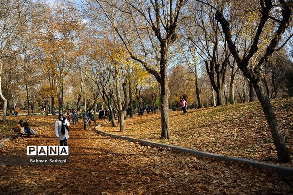 طبیعت پاییزی بوستان ملت