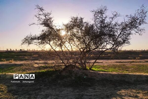 طبیعت زیبا و پرورش زنبور عسل در روستای حبابه شهرستان امیدیه