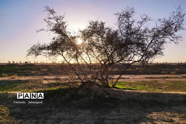 طبیعت زیبا و پرورش زنبور عسل در روستای حبابه شهرستان امیدیه