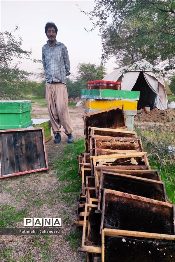 طبیعت زیبا و پرورش زنبور عسل در روستای حبابه شهرستان امیدیه