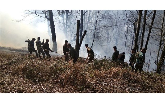 ۱۶ هزار متر مربع از جنگل‌های گیلان بر اثر وزش باد گرم خسارت دید