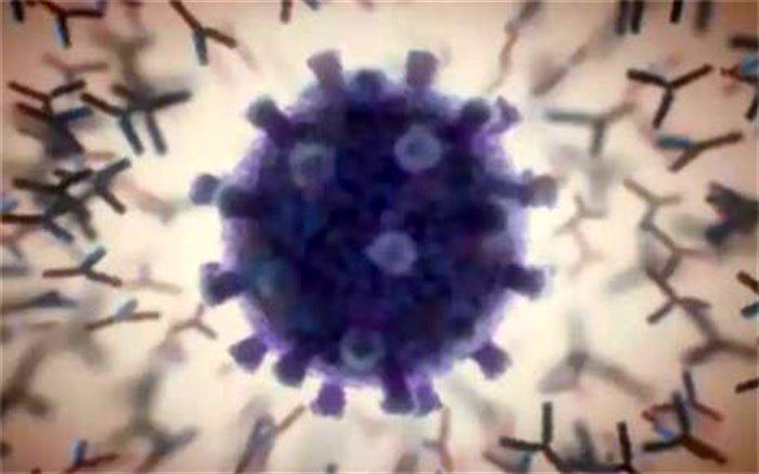 آخرین رنگ‌بندی کرونایی در استان قزوین