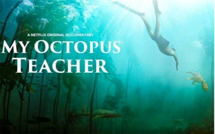 بهترین مستند اسکار ۲۰۲۱ در قاب شبکه چهار سیما