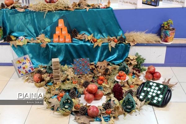 افتتاحیه هفتمین دوره المپیاد رویش مرحله ناحیه‌ای در شیراز