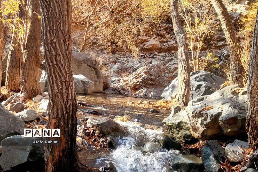 آخرین روزهای پاییز در دارآباد