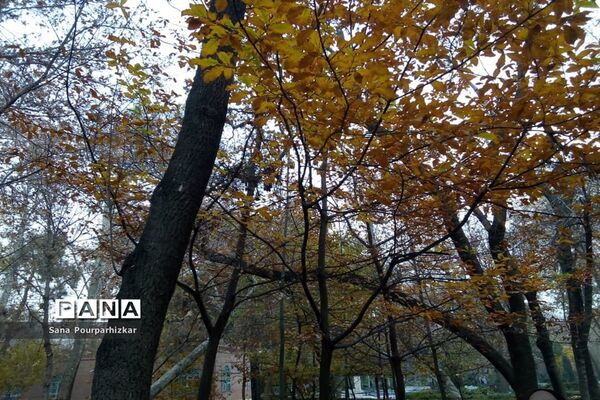 آخرین روزهای پاییز در تهران