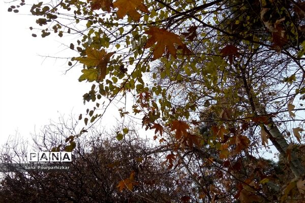 آخرین روزهای پاییز در تهران