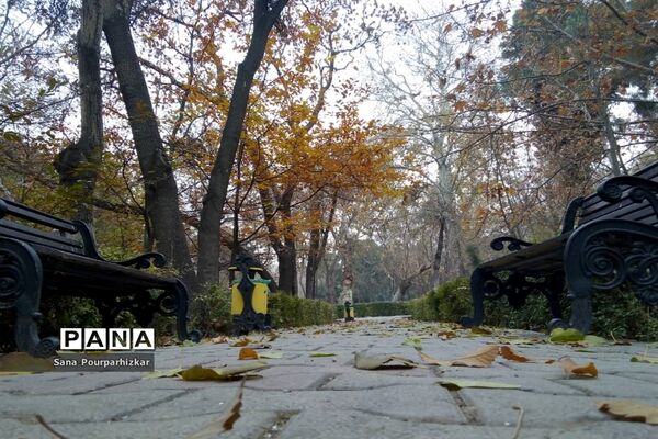 آخرین روزهای پاییز در تهران