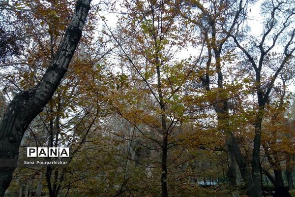 آخرین روزهای پاییز در تهران