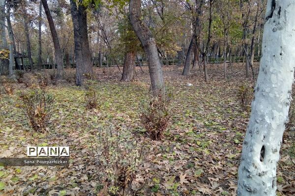آخرین روزهای پاییز در تهران