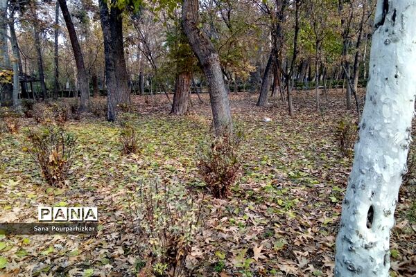 آخرین روزهای پاییز در تهران
