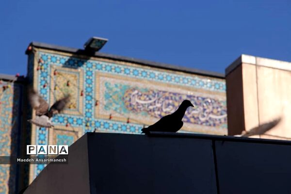 حرم مطهر امام رضا (ع)
