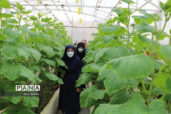 سفر یک روزه مدیرکل آموزش و پرورش آذربایجان‌غربی به شهرستان تکاب