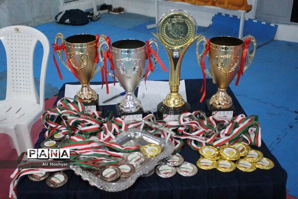 مسابقات قهرمانی دانش‌آموزان استان بوشهر، سومین دوره المپیاد استعدادهای برتر رشته تکواندو
