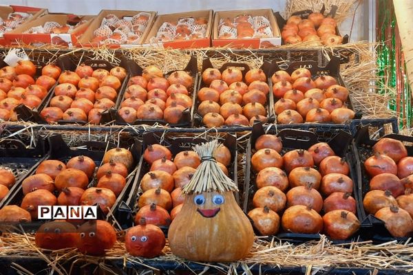 جشنواره انار تهران در گذر گردشگری پارک آب و آتش