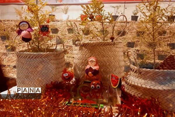 جشنواره انار تهران در گذر گردشگری پارک آب و آتش