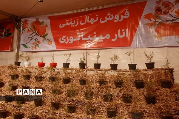 جشنواره انار تهران در گذر گردشگری پارک آب و آتش
