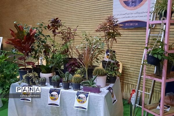 برگزاری نمایشگاه عرضه و فروش محصولات کارآفرینان شهرستان دماوند