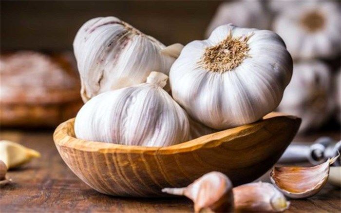 کشت سیر خشک برای اولین بار در کازرون