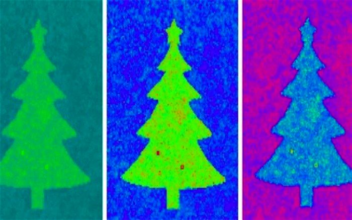 کوچک‌ترین درخت کریسمس در جهان