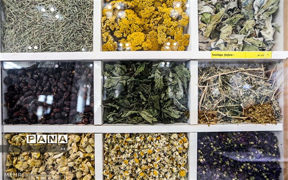 توسعه کشت بیش از ۱۳ هکتار گیاه دارویی در شهرستان تبریز