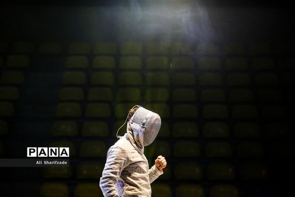 لیگ برتر شمشیربازی