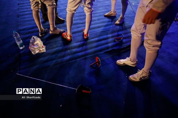 لیگ برتر شمشیربازی