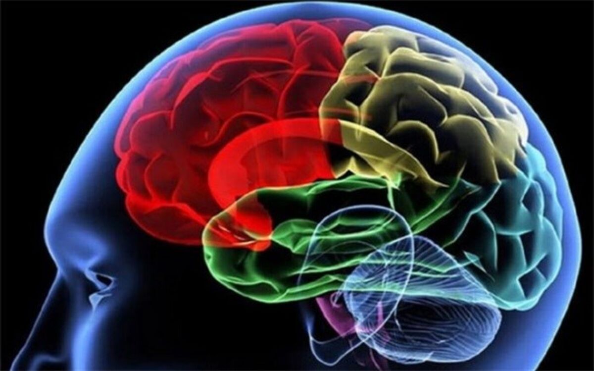 چرا آلزایمر می‌گیریم