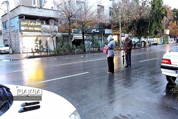 طراوت زمستانی شیراز پس از بارش نخستین باران فصلی