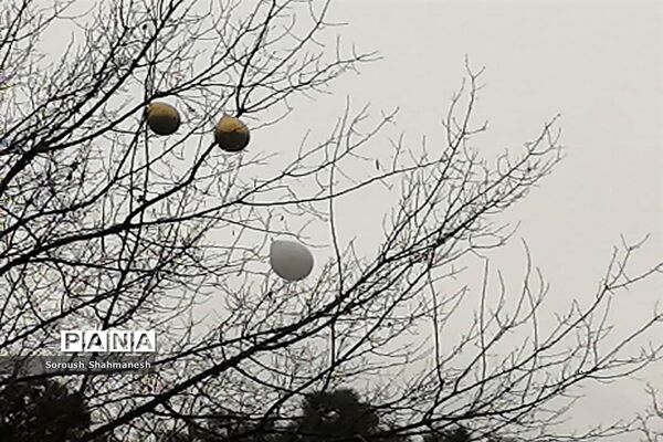 طراوت زمستانی شیراز پس از بارش نخستین باران فصلی