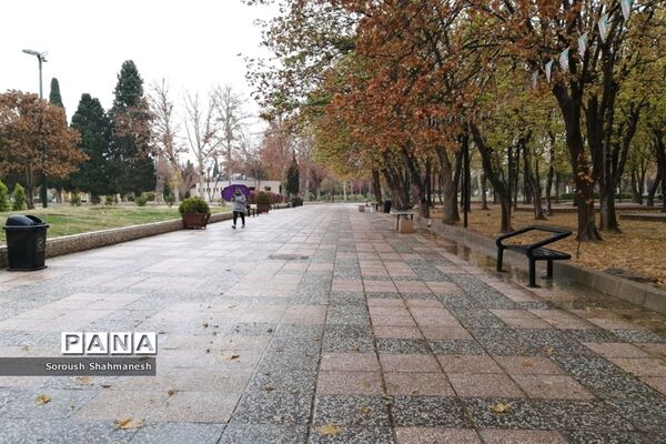 طراوت زمستانی شیراز پس از بارش نخستین باران فصلی