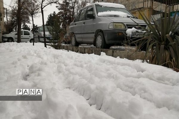 بارش برف در شهرستان دماوند