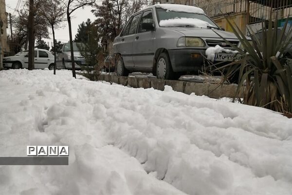 بارش برف در شهرستان دماوند