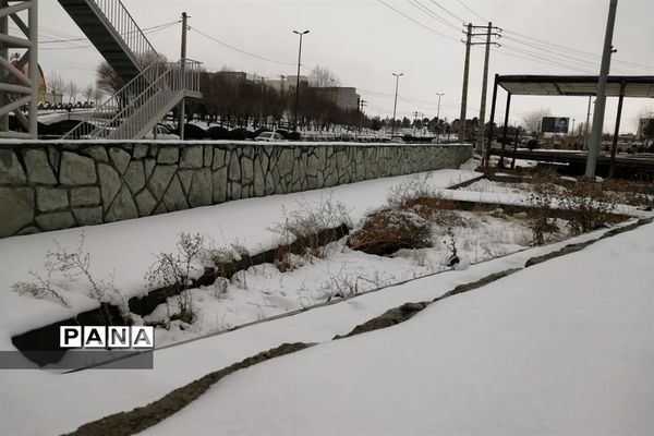 بارش برف در شهرستان دماوند
