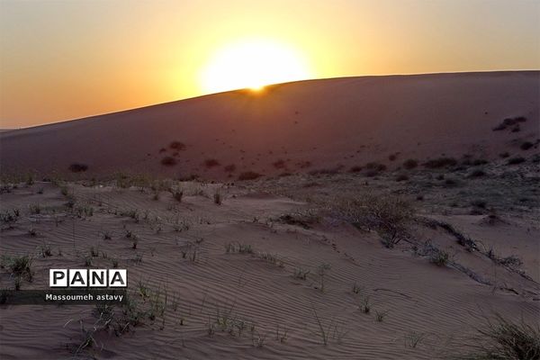 ابوغویر تنها کویر رملی ایلام