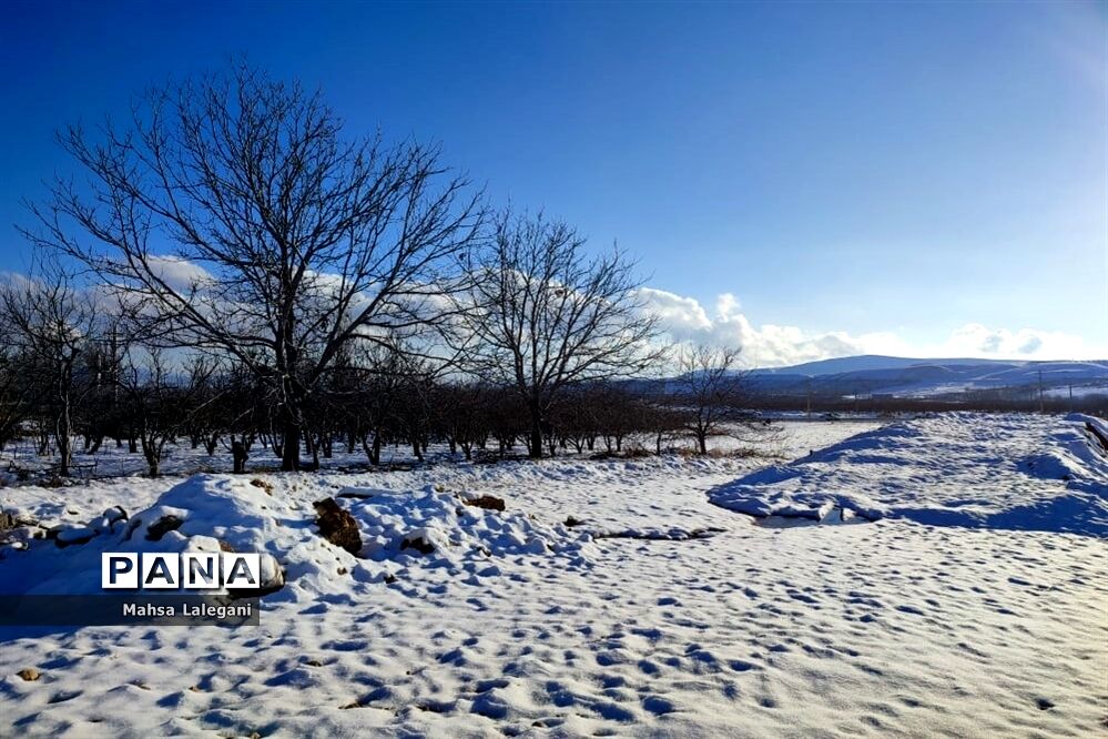 طبیعت برفی هماشهر در سپیدان