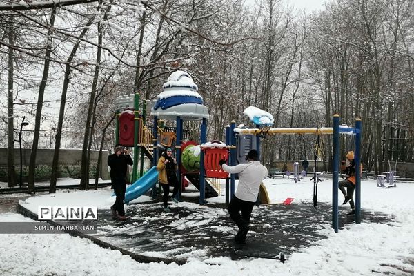 برف، زندگی می‌بارد