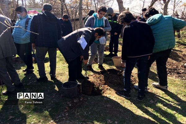 هر ایرانی یک درخت برای ایران سرسبز