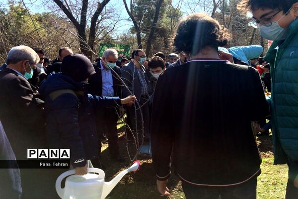 هر ایرانی یک درخت برای ایران سرسبز