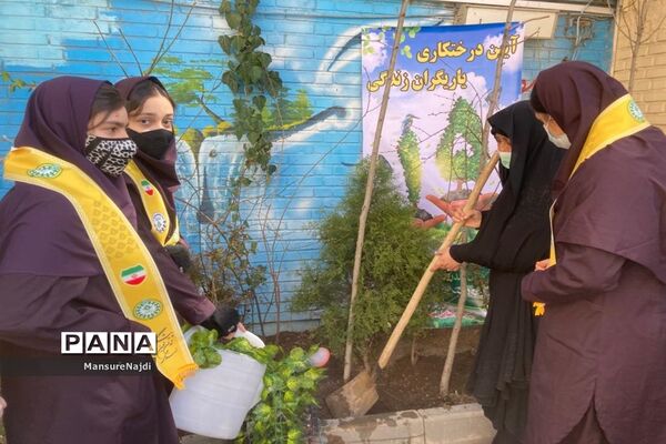 پیشتاز برای ایرانی سرسبز با کاشت نهال