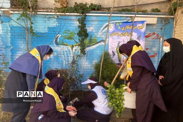 پیشتاز برای ایرانی سرسبز با کاشت نهال