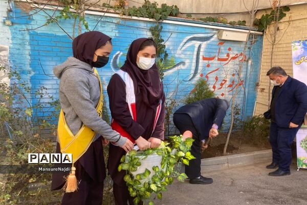 پیشتاز برای ایرانی سرسبز با کاشت نهال