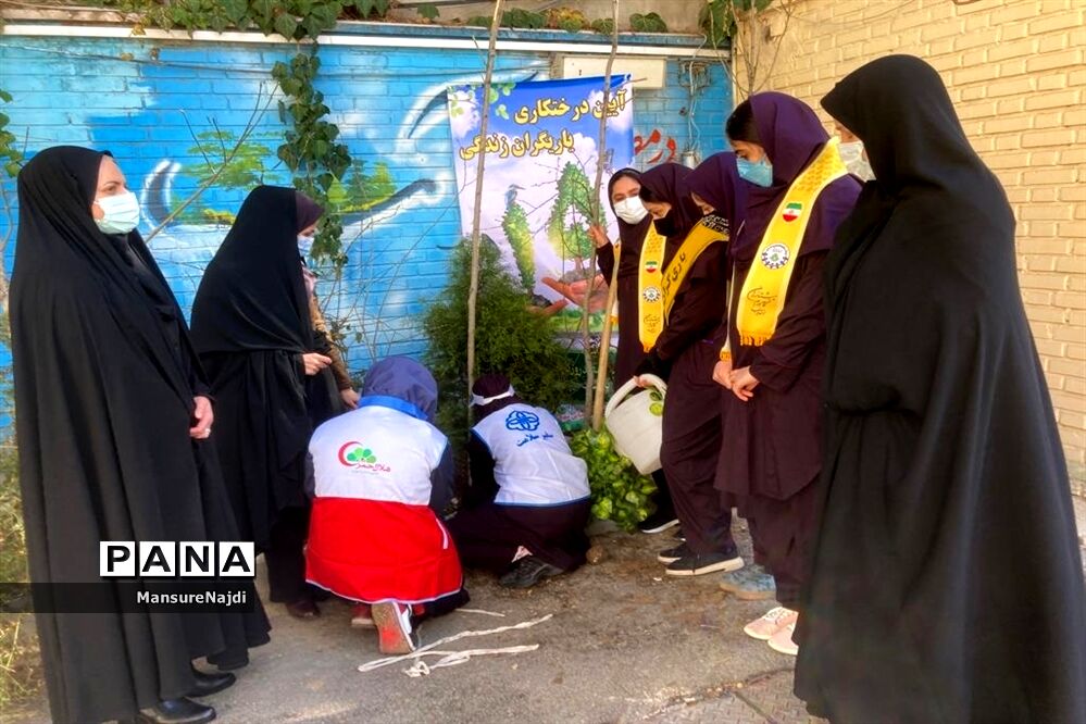 پیشتاز برای ایرانی سرسبز با کاشت نهال