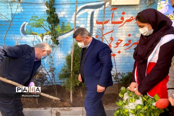پیشتاز برای ایرانی سرسبز با کاشت نهال